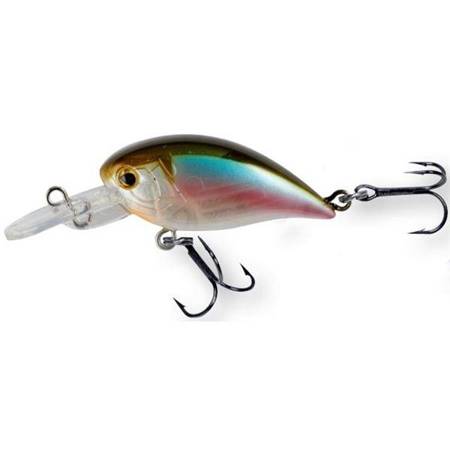 product-11461-image-101440