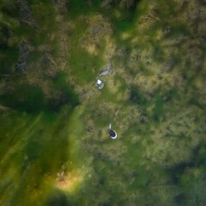 Spławik do zig riga FOX Edges Zig Float Kit - obrazek 6