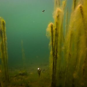 Spławik do zig riga FOX Edges Zig Float Kit - obrazek 7