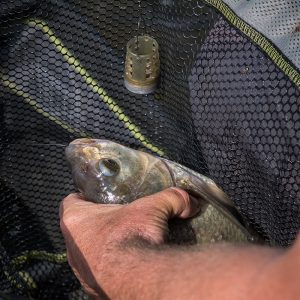 Matrix Plastic Bottom Weighted Feeder Small 50gr Plastikowy Koszyczek Zanętowy Matrix GFR254 - obrazek 14