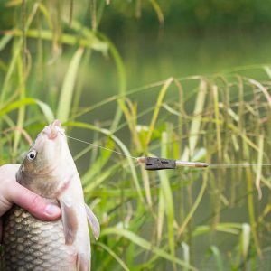 Matrix Open Alloy Feeder Inter 30gr Podajnik Matrix GFR237 - obrazek 10