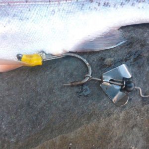 Black Cat #5/0 Buzzer-Hook DG silver - obrazek 5