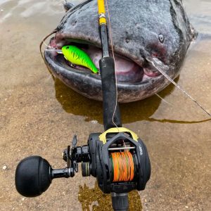 Black Cat 50g 16cm Cranker red head sinking - obrazek 11