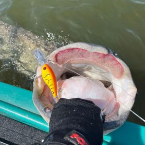 Black Cat 50g 16cm Cranker red head sinking - obrazek 22