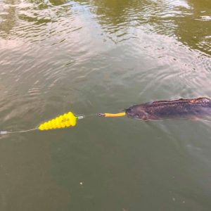 Spławik podwodny Black Cat U-Float "Tree"" 10g fluo yellow" - obrazek 16