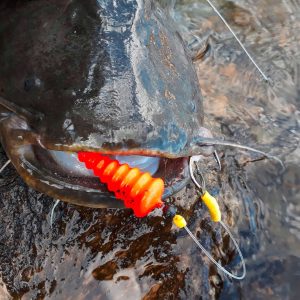 Spławik podwodny Black Cat U-Float "Tree"" 10g fluo yellow" - obrazek 12