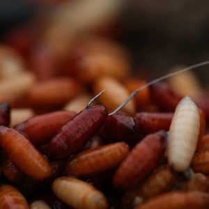 Guru Pole Special Hook rozm 22 Zadziorowe z Łopatką 10szt Haczyki Guru GPH22 - obrazek 3