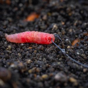 Guru Super Fine Pole rozm 20 10szt Zadziorowe z Łopatką Haczyki Guru GSFP20 - obrazek 3