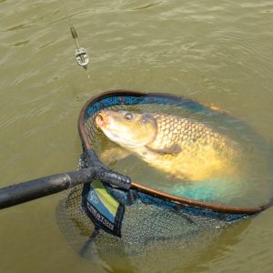 Stopery PRESTON Stopz - Medium - obrazek 13