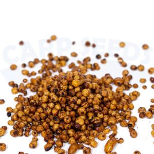 Carp Seeds Orzech Tygrysi gotowy 6-18mm 1kg