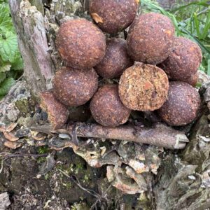 Karpiowa Chata SUPER NATURAL KRYL 20mm 1kg Kulki Proteinowe zanętowe