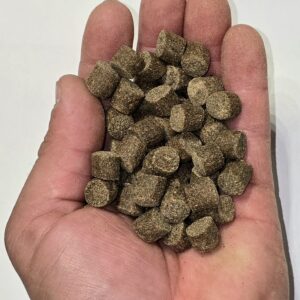 PELLET ALLER AQUA MASTER 11 mm 1kg