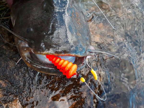 Spławik podwodny Black Cat U-Float „Tree”” 10g fluo yellow”