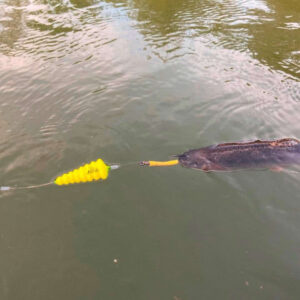 Spławik podwodny Black Cat U-Float „Tree”” 10g fluo yellow”