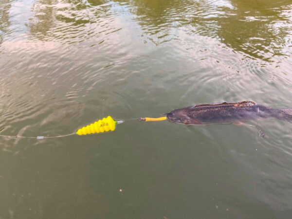 Spławik podwodny Black Cat U-Float „Tree”” 10g fluo yellow”