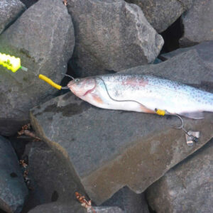 Spławik podwodny Black Cat U-Float „Tree”” 10g fluo yellow”