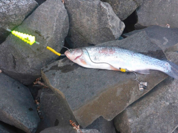 Spławik podwodny Black Cat U-Float „Tree”” 10g fluo yellow”