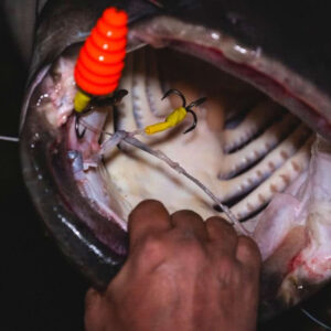 Spławik podwodny Black Cat U-Float „Tree”” 10g fluo yellow”